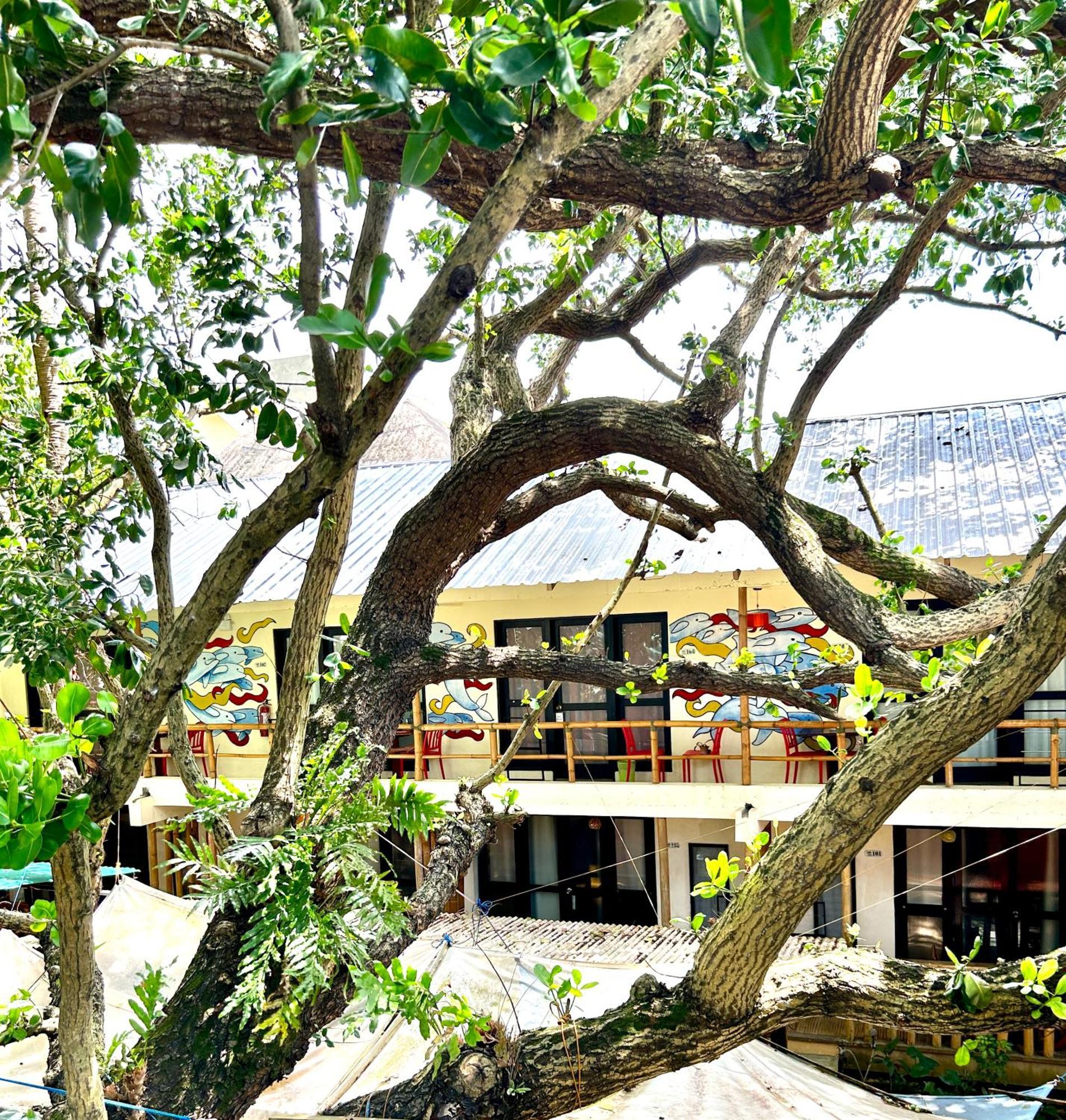 เดอะเลซี ด็อก เบด แอนด์ เบรคฟาสต์ Hotel Balabag  ภายนอก รูปภาพ